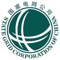 Central China Power Grid International Economic & Trade Co., Ltd
