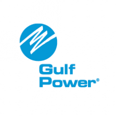 Gulf Power Gen Project Company 