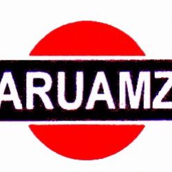 Aruamz Associates