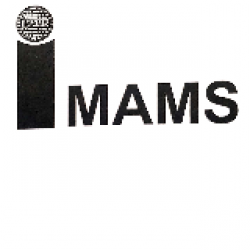 I M A M S